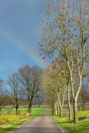 road and trees on a background of blue sky with a rainbow