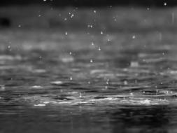 black and white photo falling raindrops