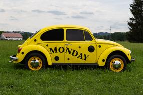 Vw Beetle Volkswagen monday