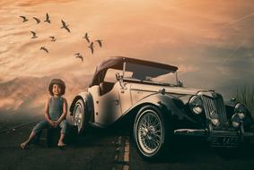 Car and birds drawing
