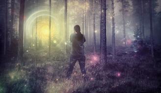 Forest Abstract
