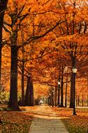 Street Pathway