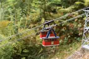 Cable cars on the ropes, among the colorful plants