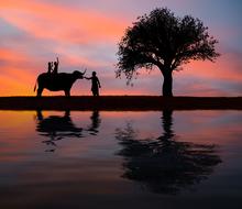 silhouette of man and elephant against the backdrop of colorful sunset in Ayutthaya