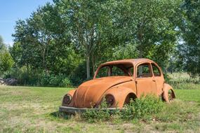 Vw Beetle Rusted on the grass on a sunny day