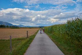 velo drivers on the road