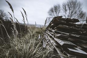 old boards lying on a rural field
