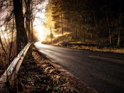 mysterious light on the empty road