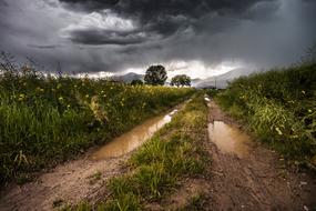 landscape of the puddles and dirt on a rural road at storm