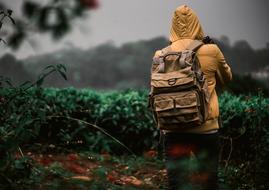 Jacket Walking