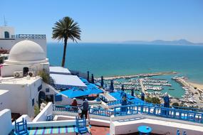 blue-white architecture in tunisia