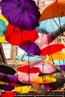 Colorful umbrellas on the avenue