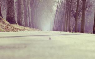 Avenue Parkway