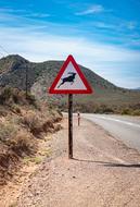 animals, warning traffic sign on side of Route62 Road, South Africa