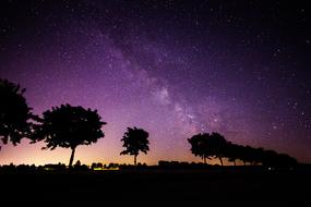 delightful Star Milky Way Trees