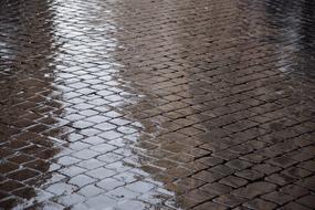 water on paving stones close up