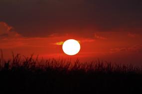 Beautiful red gradient sunrise above the field in summer