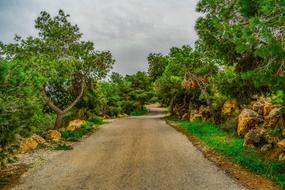 delightful Road Countryside Nature