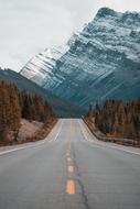 Nature Road