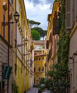 narrow street with yellow facades and green vegetation