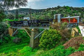 Train Mine on a bridge in nature