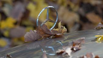 Close-up of the shiny Mercedes logo, on the shiny car, in the colorful leaves, in the autumn