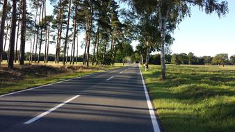 Landscape of Road Avenue