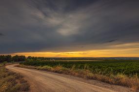 Rural Road Path