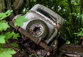 Car Cemetery in forest