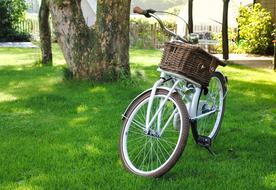 Bicycle with Basket Transport on grass