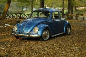 Vintage blue Car in Park at fall