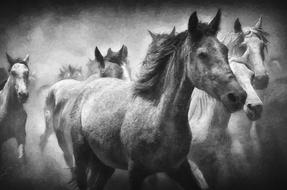 oil painting horse