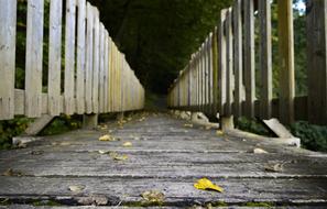 Beautiful, old , wooden bridge with yellow leaves on landscape