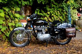 Beautiful, old, black and metallic motorcycle, near the colorful plants