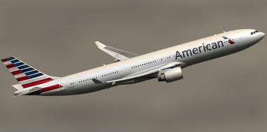 American Airline model