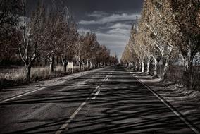 autumn photo of a highway with the plants along it in Mendoza, Argentina