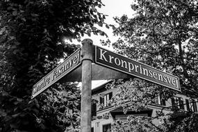 monochrome photo of road signs