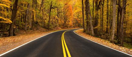 Rural Road Autumn