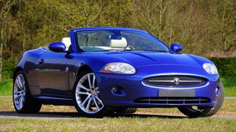extraordinarily beautiful Sports Car