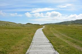 wooden walkway in a swamp in a nature reserve in Ireland