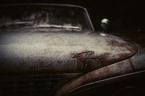Plymouth Rusty