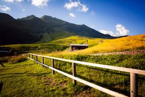 Mountain Field yellow green