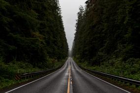 Landscape of Asphalt Highway