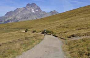 Mountain Road Landscape