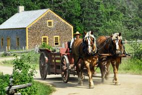 Horse-Drawn Cart