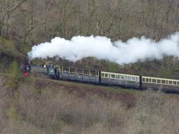 unusually beautiful Train Steam Locomotive