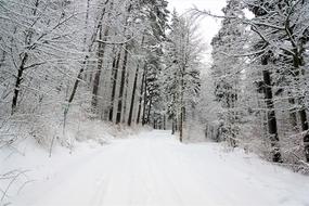 Winter Snow Cold road