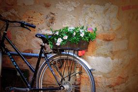 Indoors Transportation with flowers