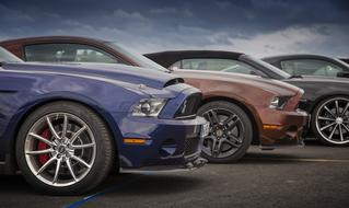 mustang Shelby Muscle Cars