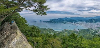 Kumano Ancient Road and forest